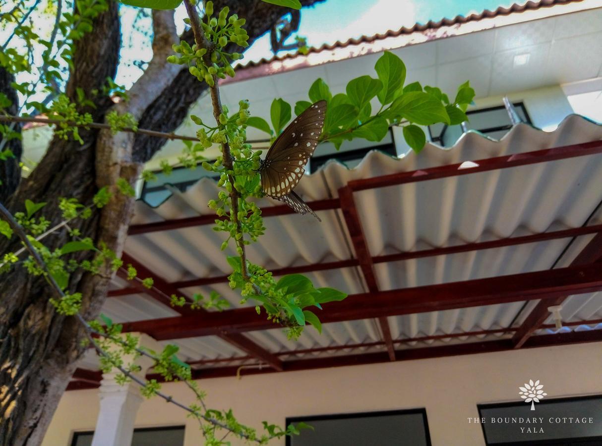 The Boundary Yala Hotell Kataragama Eksteriør bilde