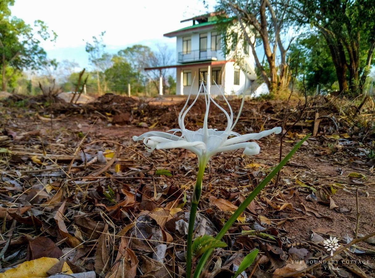 The Boundary Yala Hotell Kataragama Eksteriør bilde
